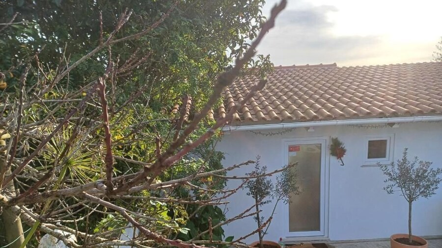 Quinta da Pêra rocha