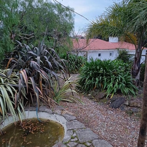 Quinta da Pêra rocha