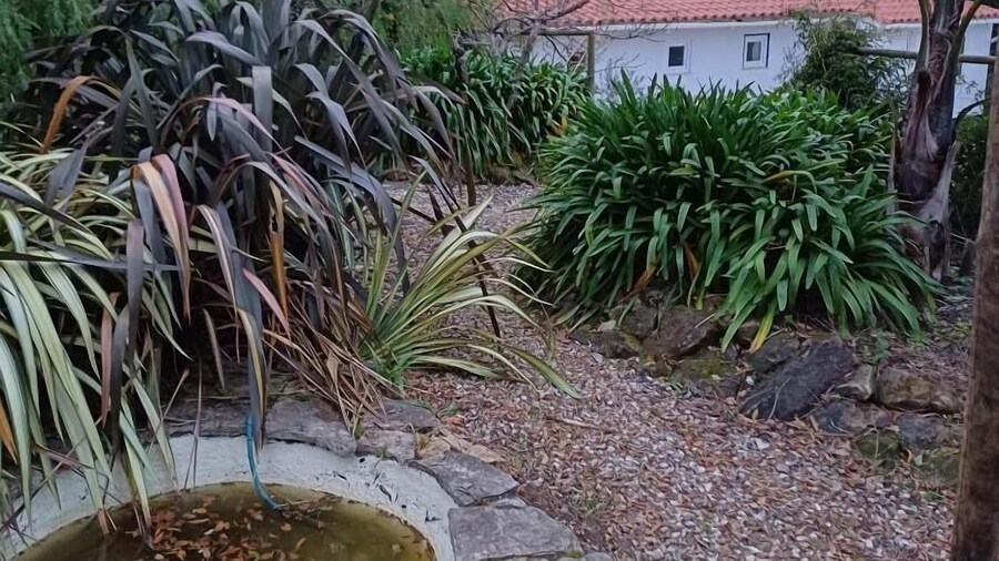 Quinta da Pêra rocha