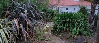 Quinta da Pêra rocha