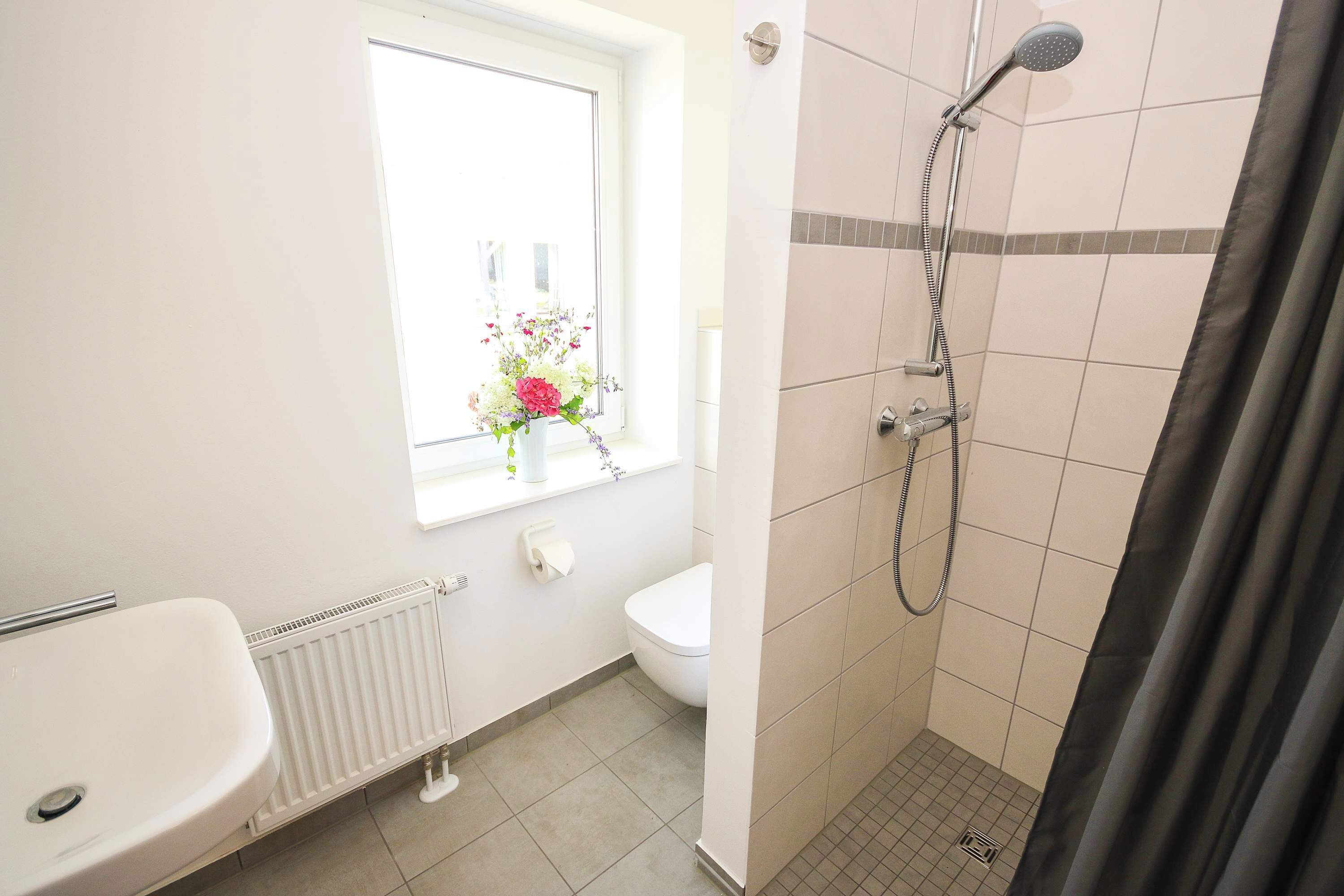 Shower, hair dryer