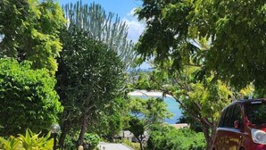 Uklassifisert bilde, 3 av 17, knapp