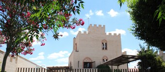 Castillos con encanto en el Robledo - Ciudad Real.  13+15 personas. con AC