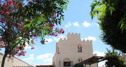 Castillos con encanto en el Robledo - Ciudad Real. 13+15 personas. con AC