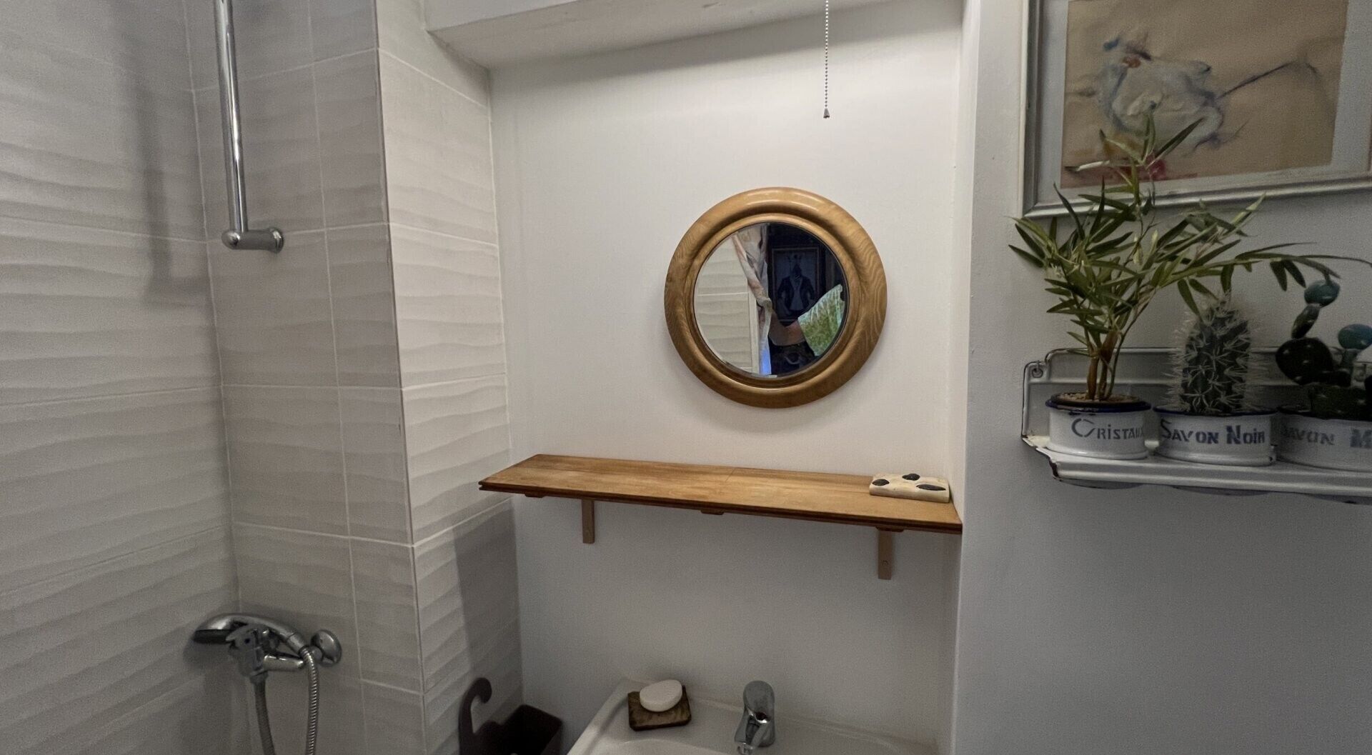 Une salle de bain avec une douche, un lavabo, un miroir et une étagère avec des plantes.