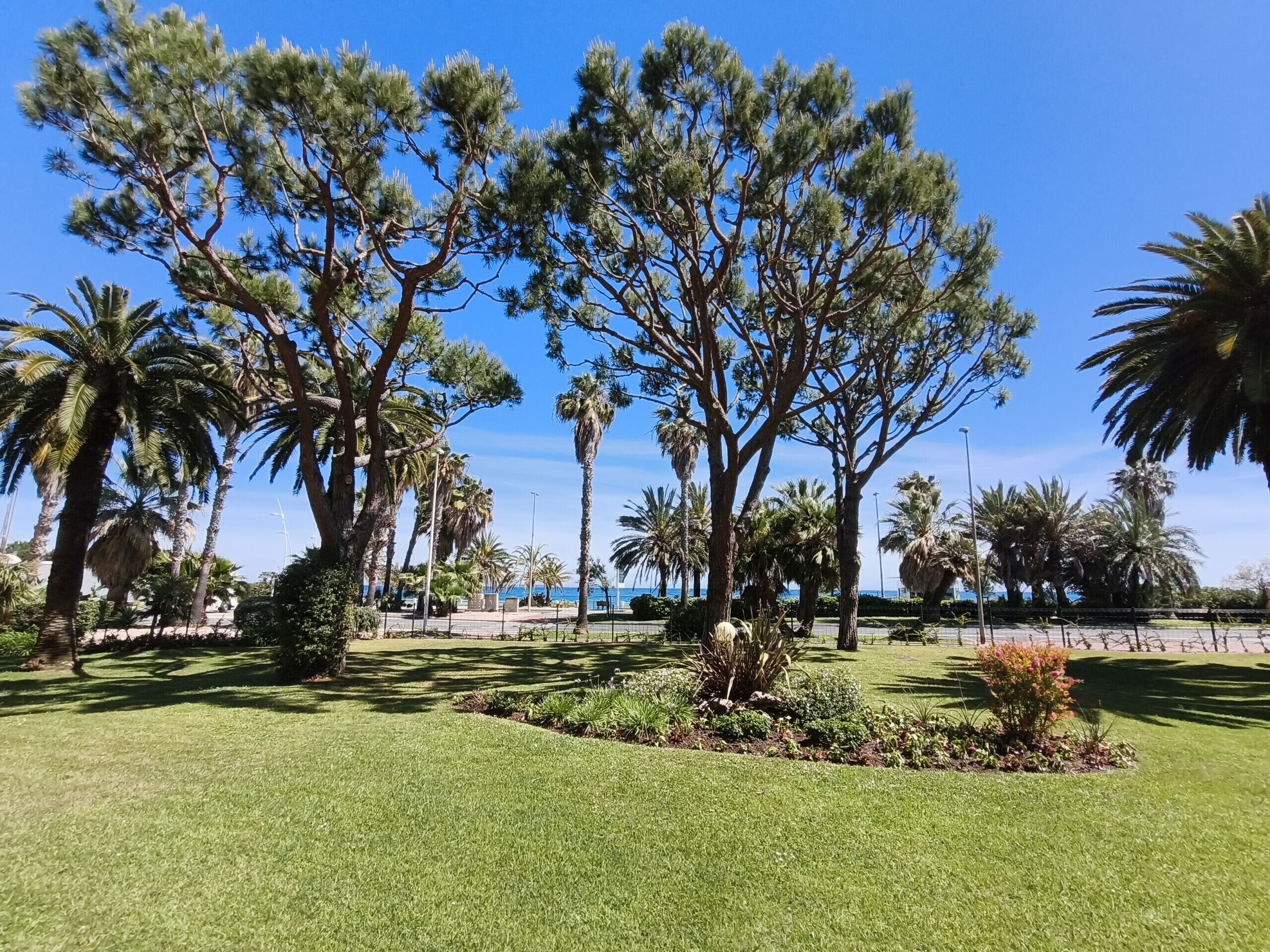 Un parc bien entretenu, avec une grande variété d’arbres, notamment des palmiers et des pins, et une vue dégagée sur la mer en arrière-plan.
