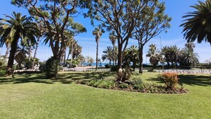 A well-maintained park with a variety of trees, including palm trees and pine trees, and a clear view of the sea in the background. - REF DOLOS BY PALMES D OR PROPERTIES (Cannes)