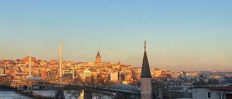 Un paisaje urbano con una mezquita destacada, un puente y un edificio con cúpula.