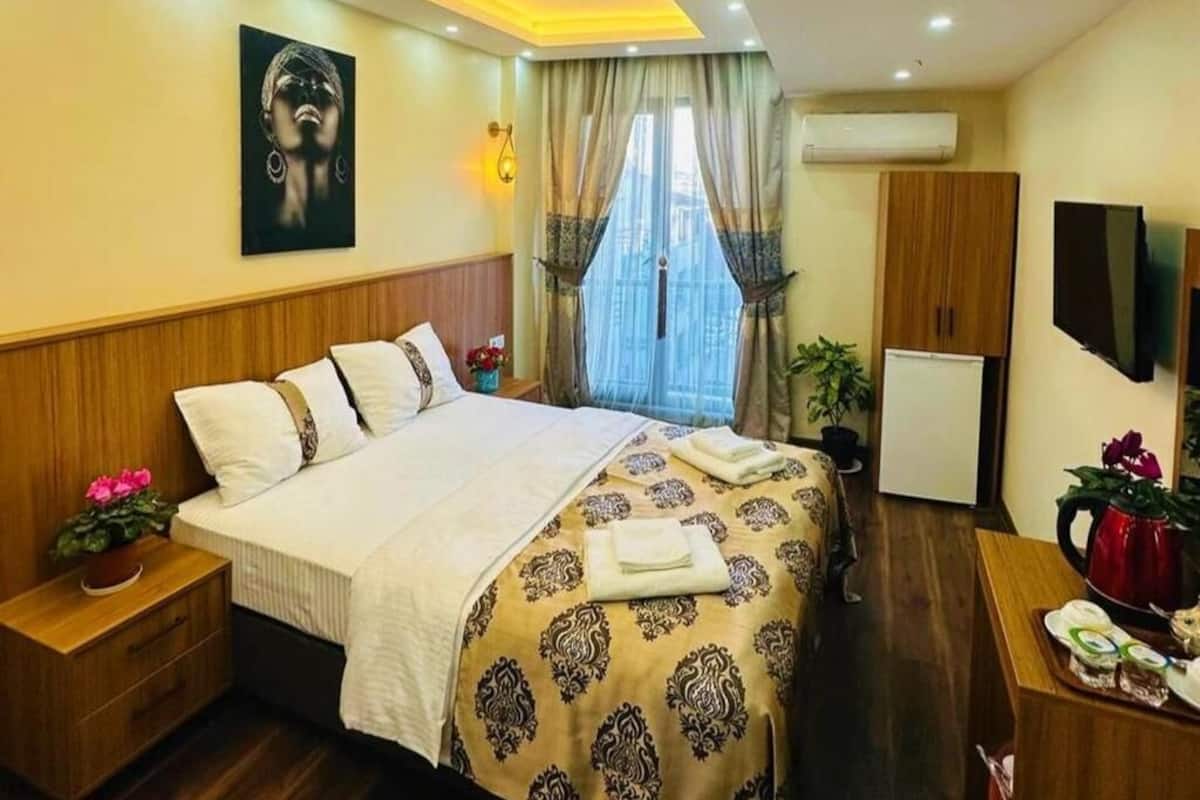 Quarto de hotel com cama, televisão, guarda-roupa e secretária com uma planta.
