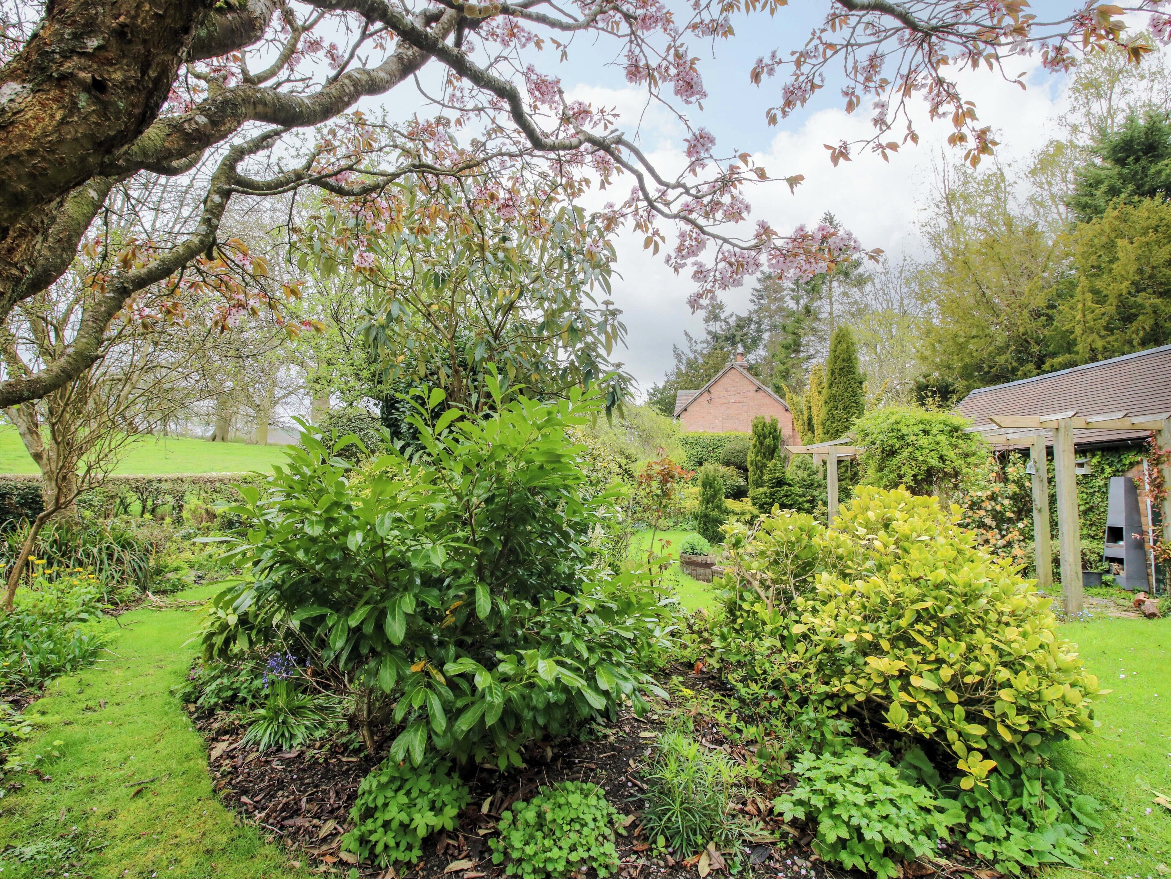 A garden with various plants and a brick building in the background.