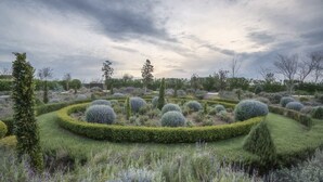 A landscaped garden with neatly trimmed hedges and various shrubs. - Inn at Park Winters (Winters)