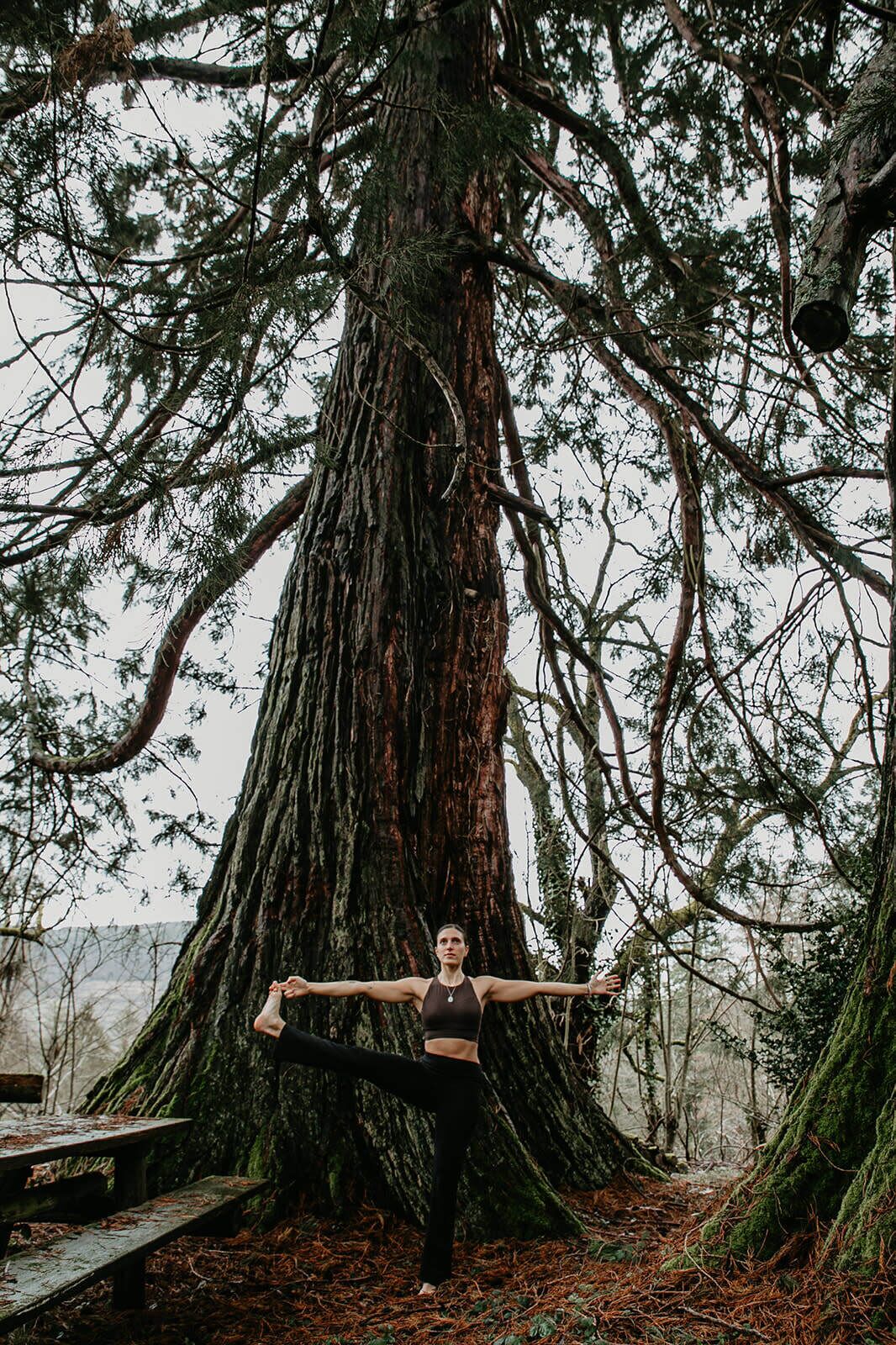 Una persona realizando una postura de yoga en un bosque, con un árbol grande al fondo.