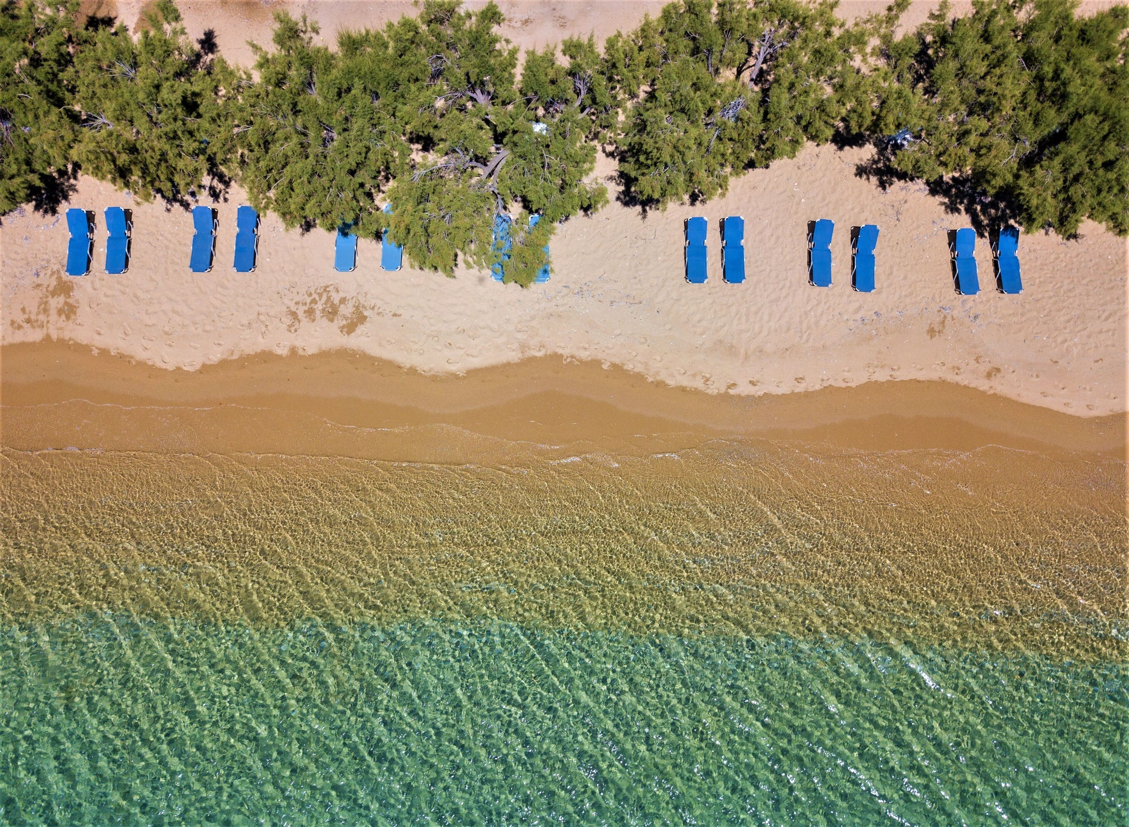 An aerial view of a beach with clear water, rows of blue lounge chairs, and dense green trees.