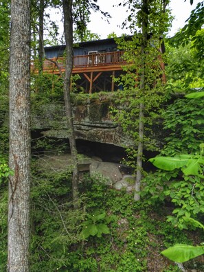 Property grounds - Stepping Stone - Private, Hot Tub, Pet Friendly (Campton)