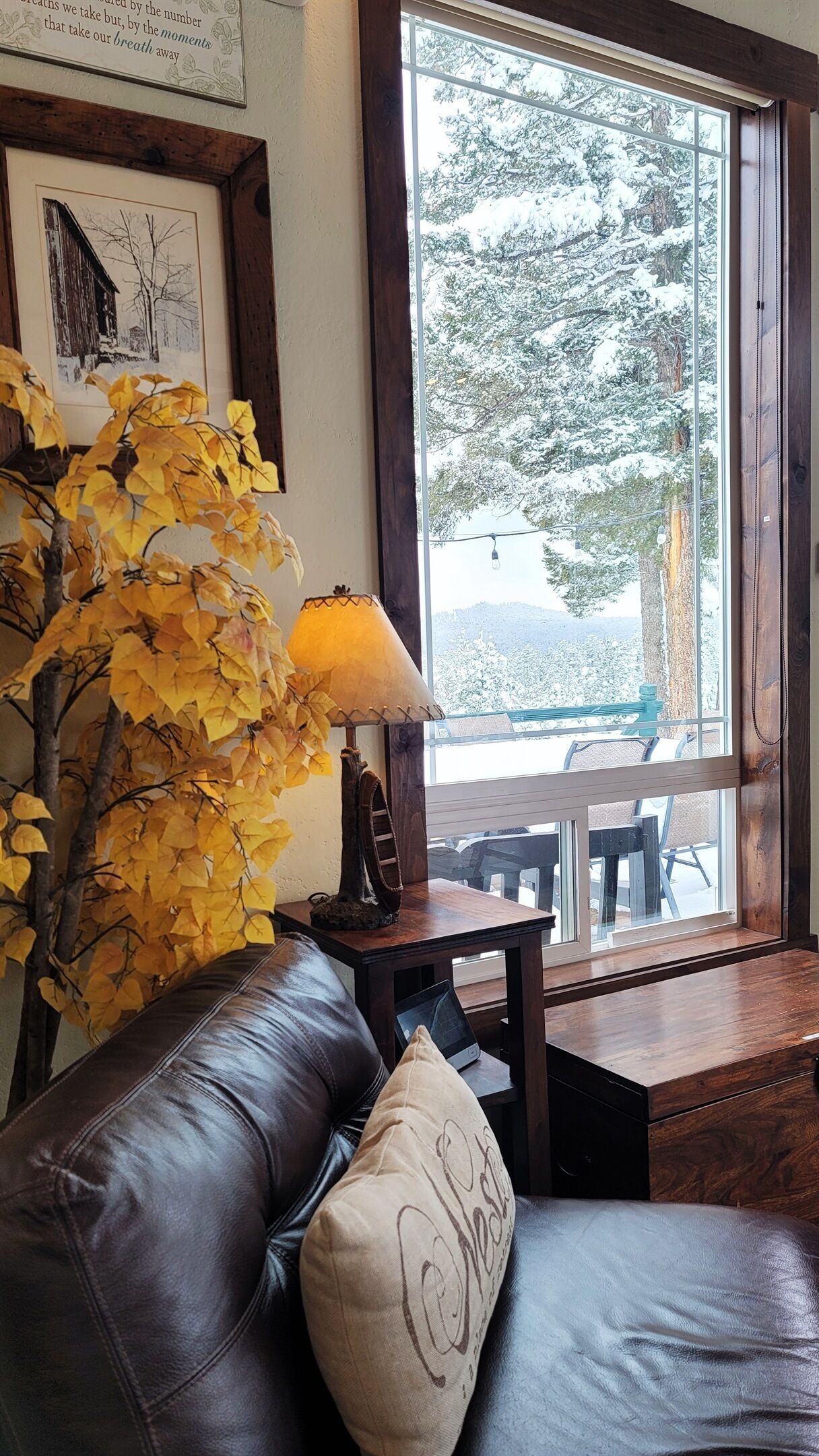 Smart TV, fireplace, DVD player, books