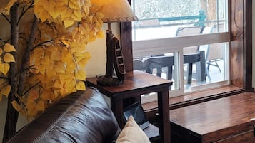 Smart TV, fireplace, DVD player, books