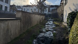 Un canal de agua estrecho flanqueado por edificios, una pared de piedra y un árbol sin hojas.