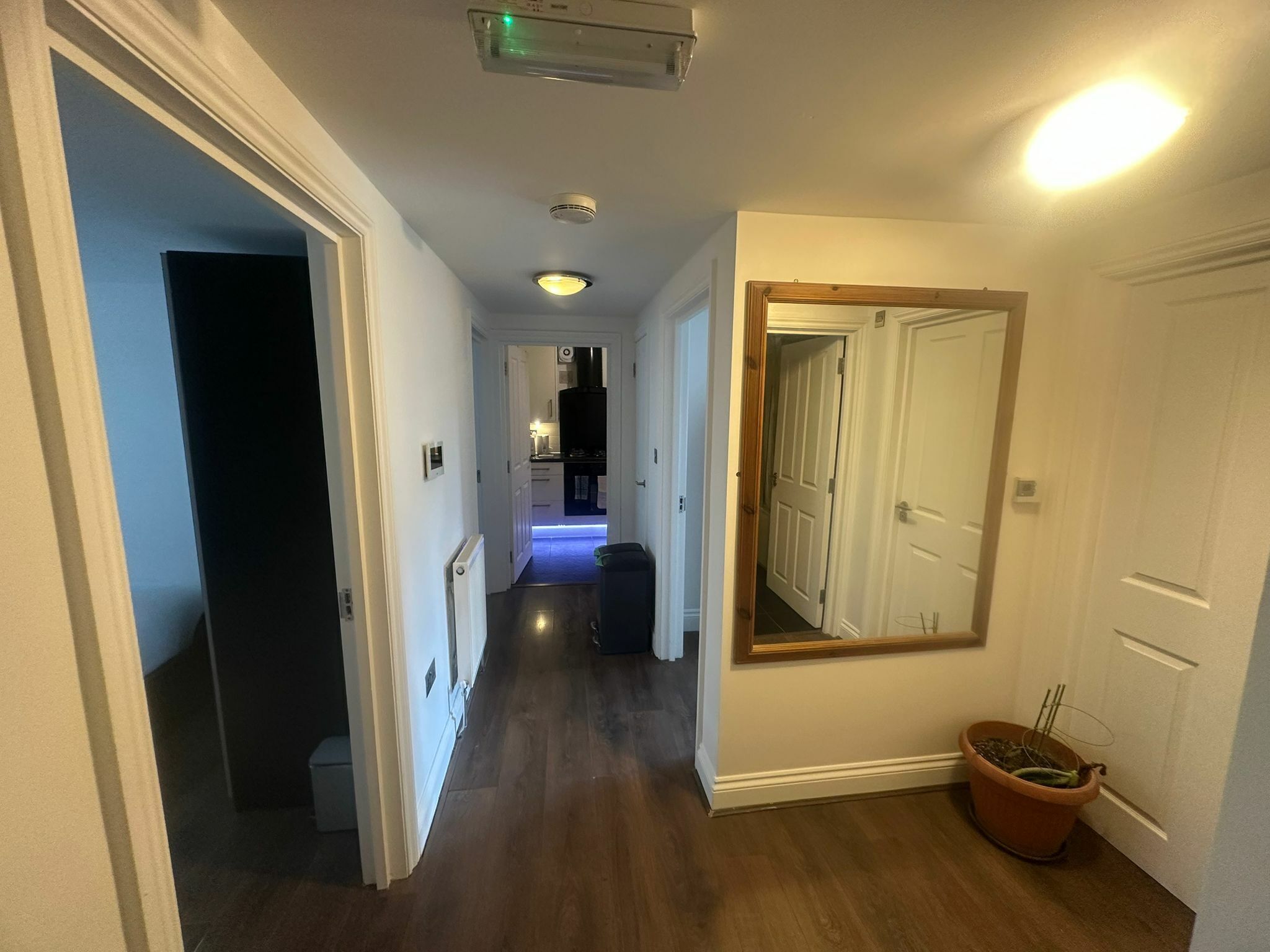 A hallway with a wooden floor, a radiator, a potted plant, and a mirror on the wall.