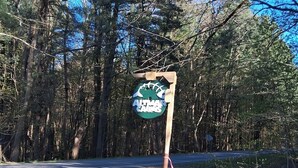Un cartello indica 'Altmar Cabins', circondato da alberi e un sentiero sterrato.