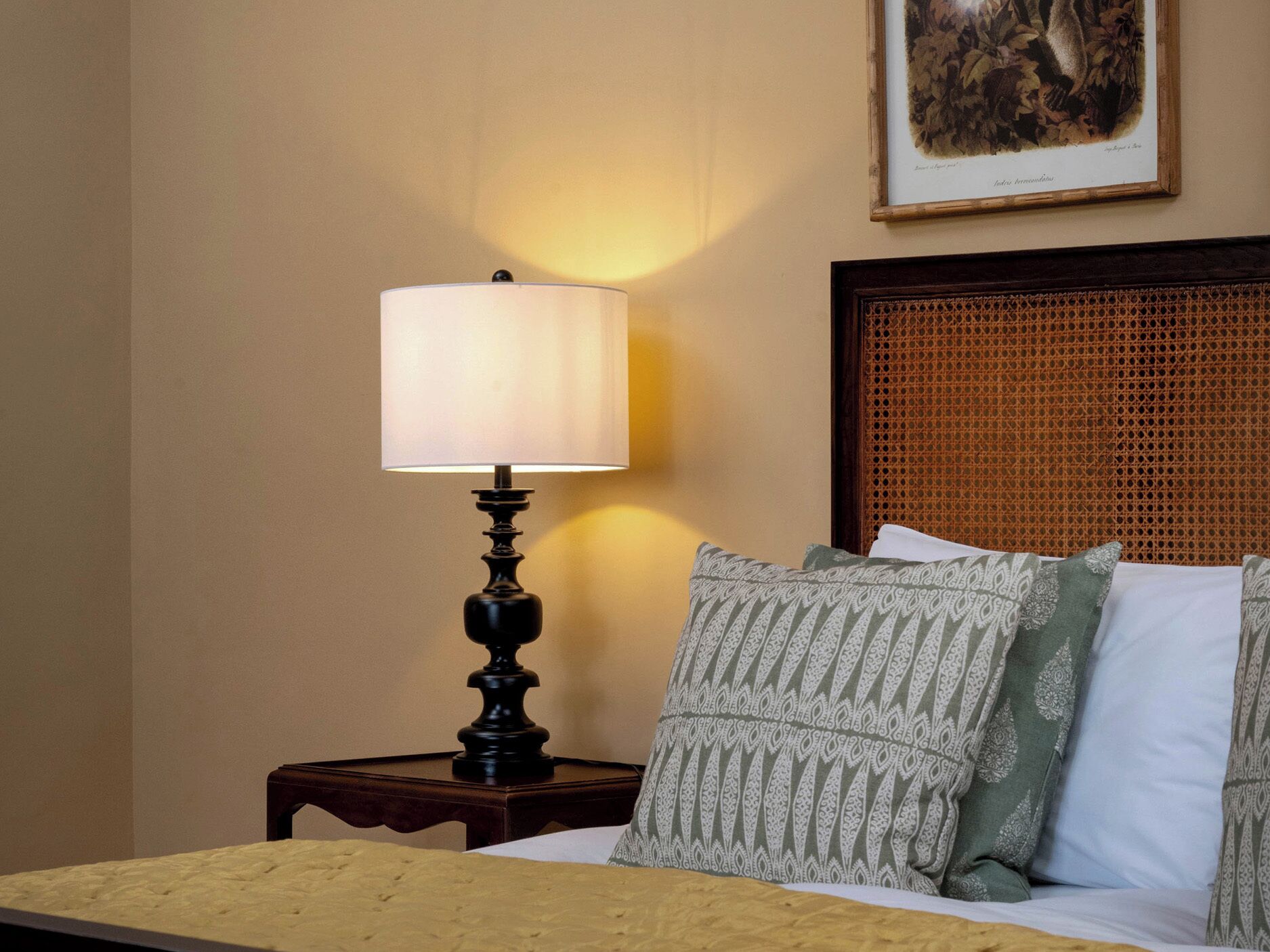 A bed with patterned pillows, a bedside lamp, and a framed picture on the wall.