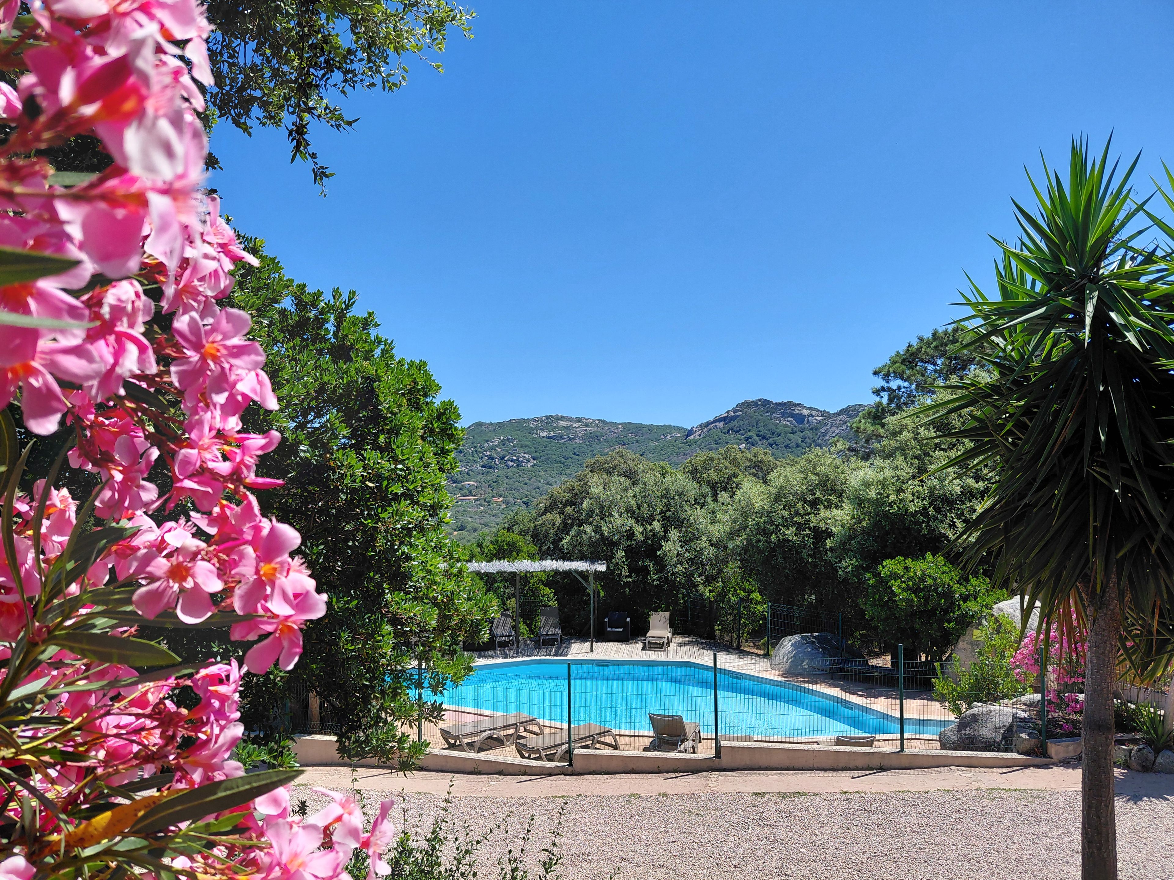 A swimming pool surrounded by greenery and hills in the background.