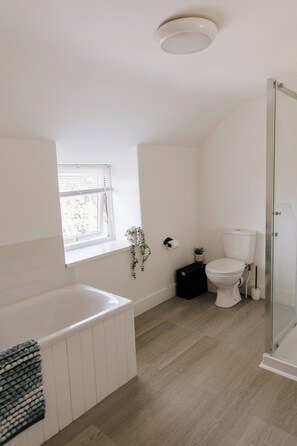 Shower, hair dryer, towels, toilet paper