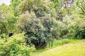 Property grounds - Ekhaga Cabins - Holiday home by the Baltic Sea with sauna & nature (Dröstorp)