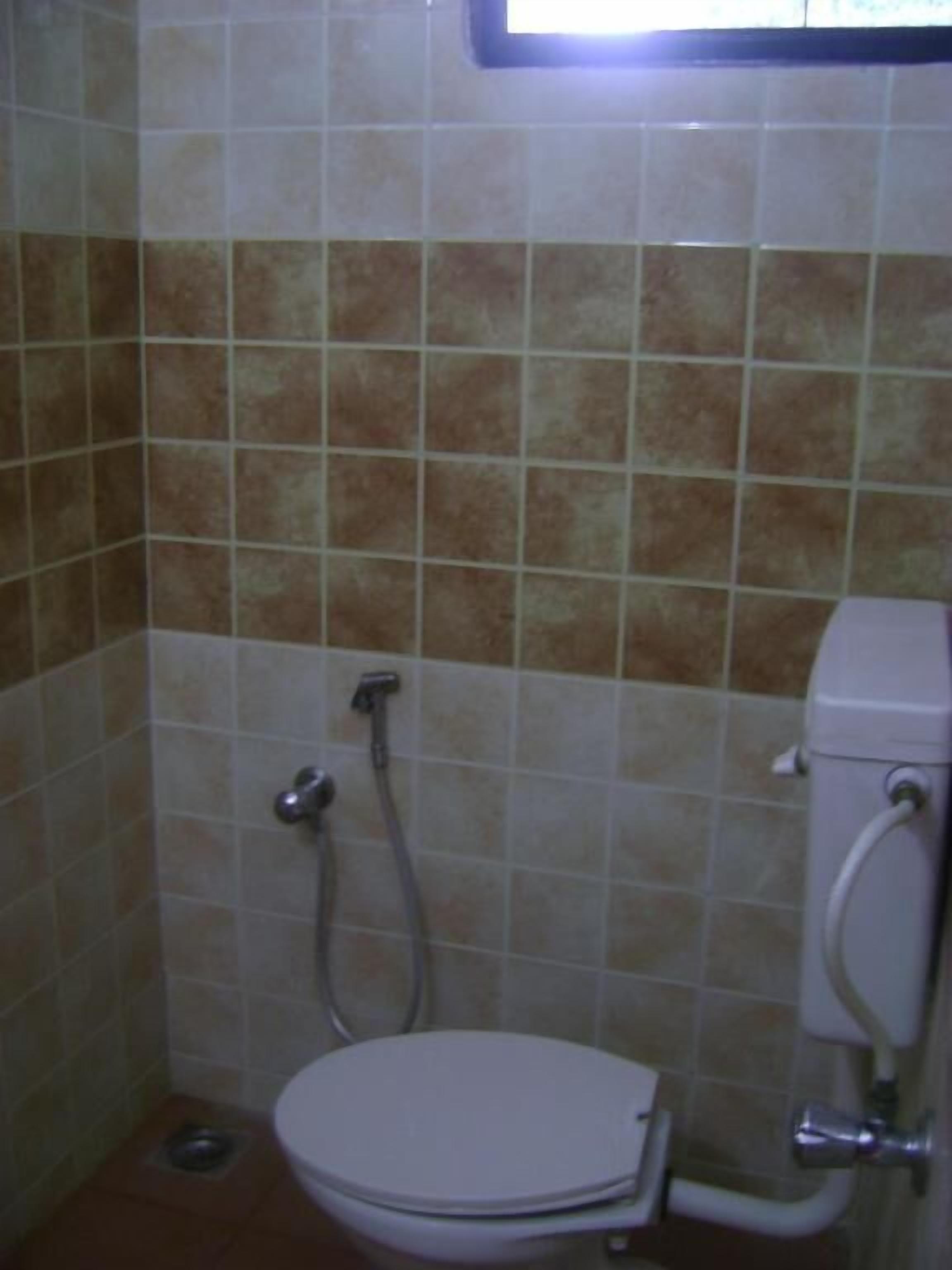 A bathroom with a toilet, a shower, and a wall-mounted toilet paper holder.