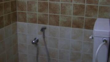A bathroom with a toilet, a shower, and a wall-mounted toilet paper holder.