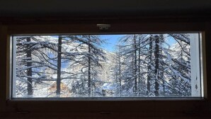 Una ventana con vistas a árboles cubiertos de nieve y un cielo despejado.