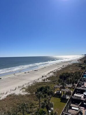 Blick auf einen Strand mit klarem Himmel, feinem Sand und einer Reihe von Strandhäusern.