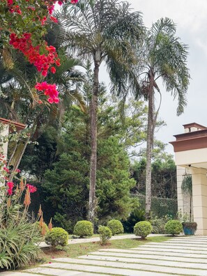 Um jardim com paisagismo, palmeiras, um caminho e um edifício com fachada bege.