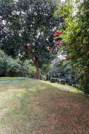 A well-maintained garden with a large tree, trimmed hedges, and a grassy area.