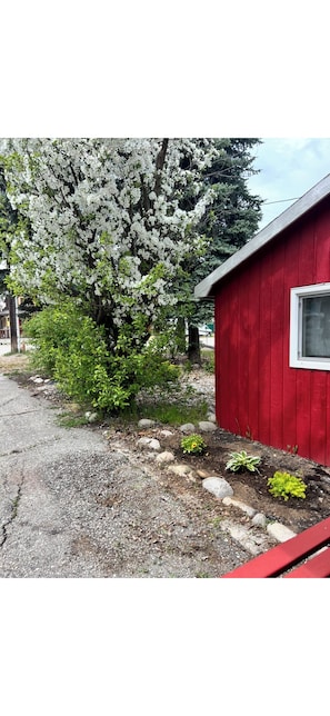 Ein rotes Gebäude mit einem Fenster, umgeben von einem Garten mit verschiedenen Pflanzen und einem Baum mit weißen Blüten.