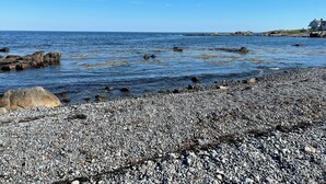 Eine felsige Küste mit klarem, blauem Wasser, vereinzelten Felsen und einem Gebäude in der Ferne.