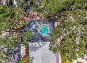 Pool - Cozy 1-bedroom condo in wonderful Tampa with AC and gym (Tampa)