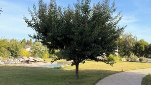 Ein von Bäumen gesäumter Weg führt zu einem Poolbereich mit Liegestühlen.