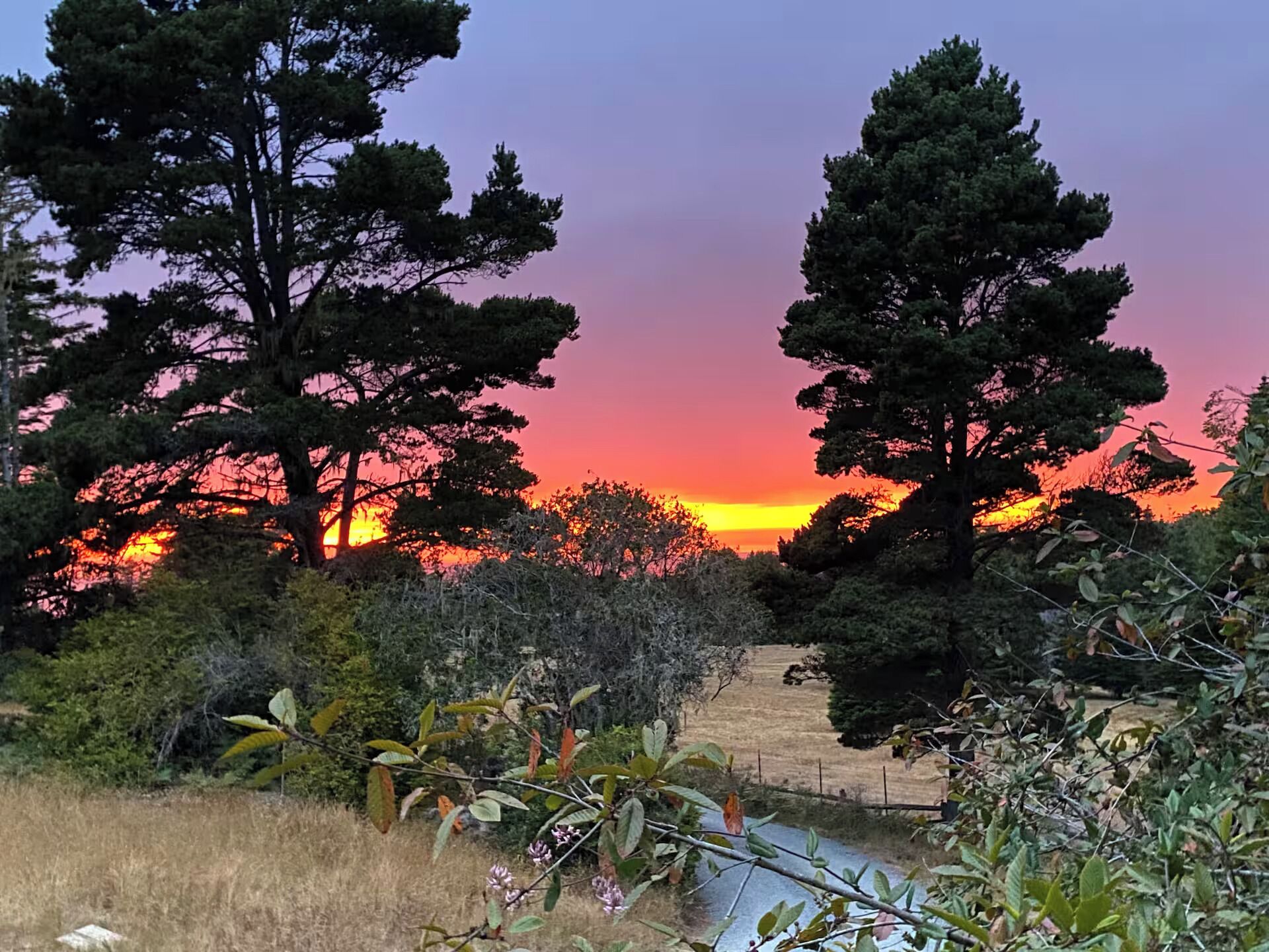 Un atardecer sobre un campo con árboles y una cerca.