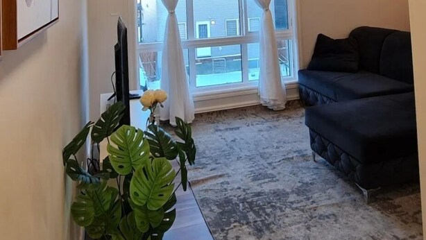 Ett vardagsrum med en mörk soffa, en krukväxt, en platt-TV och ett fönster med vita gardiner.
