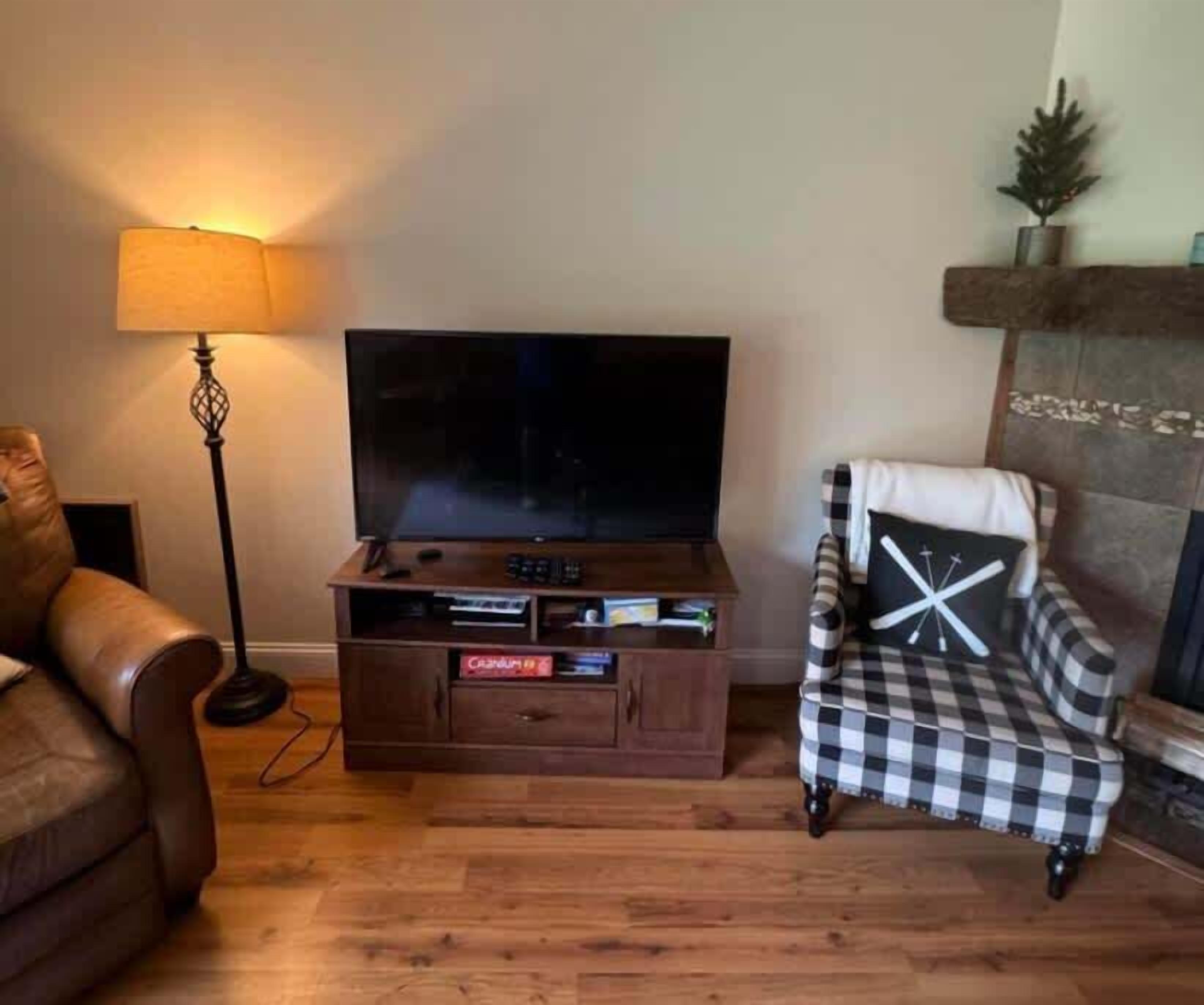 TV, fireplace, DVD player