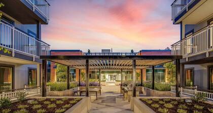 Spacious 2BR Retreat at Realm Apartments