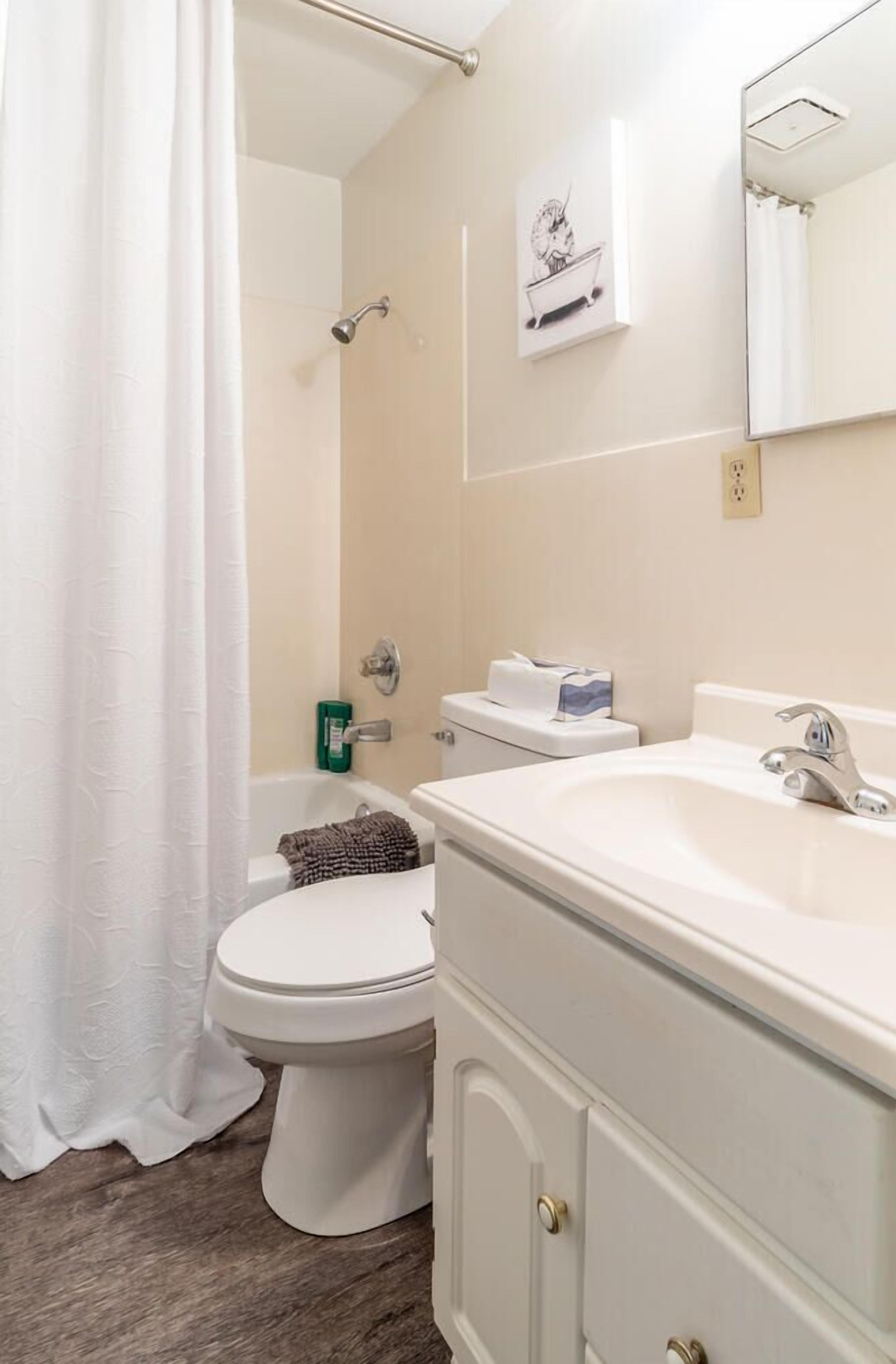 Shower, hair dryer, shampoo