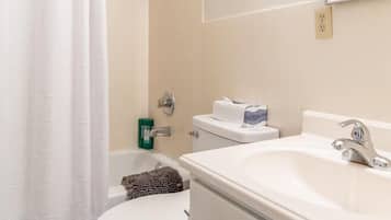 Shower, hair dryer, shampoo