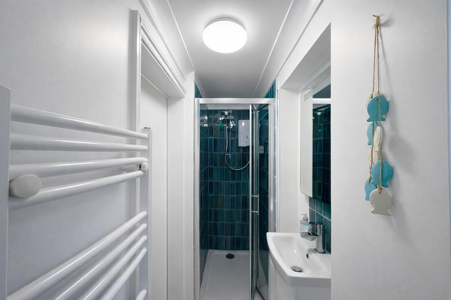 Shower, towels, toilet paper