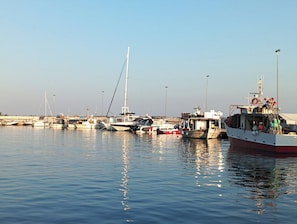 Ein Yachthafen mit mehreren vertäuten Booten, ruhigem Wasser und blauem Himmel.