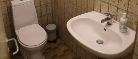 A bathroom with a toilet, sink, and trash bin.