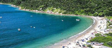 Apartment | Beach | Beach nearby, white sand