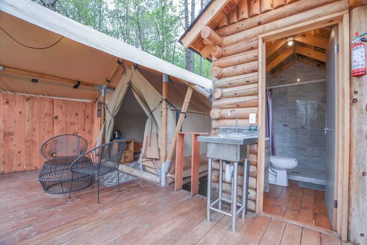 A wooden cabin with a small bathroom, a table, and a chair.