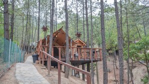 Una cabaña de madera con un sendero de piedra que la lleva a ella, rodeada de árboles.