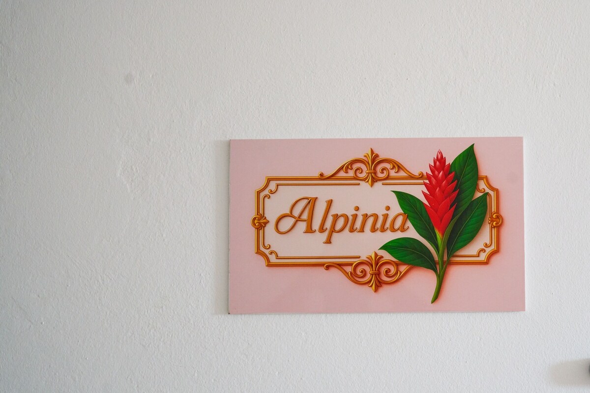 Une enseigne fixée au mur, portant le nom « Alpina » et agrémentée d’une plante décorative.